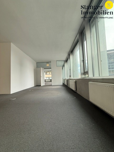 Foto 1.1